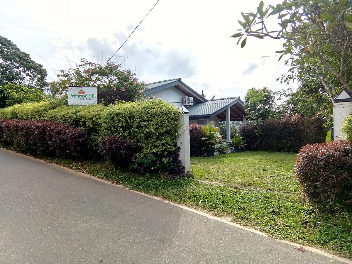 Primrose Hill Holiday Bunglow Канди Экстерьер фото